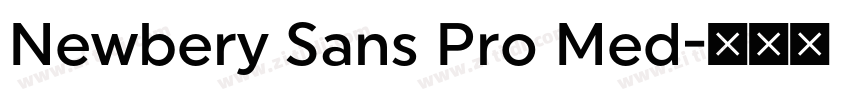 Newbery Sans Pro Med字体转换 Newbery Sans Pro Med字体转换